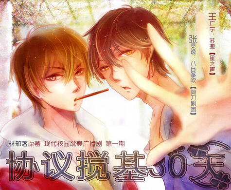 Agreement of Being Gay for 30 Days